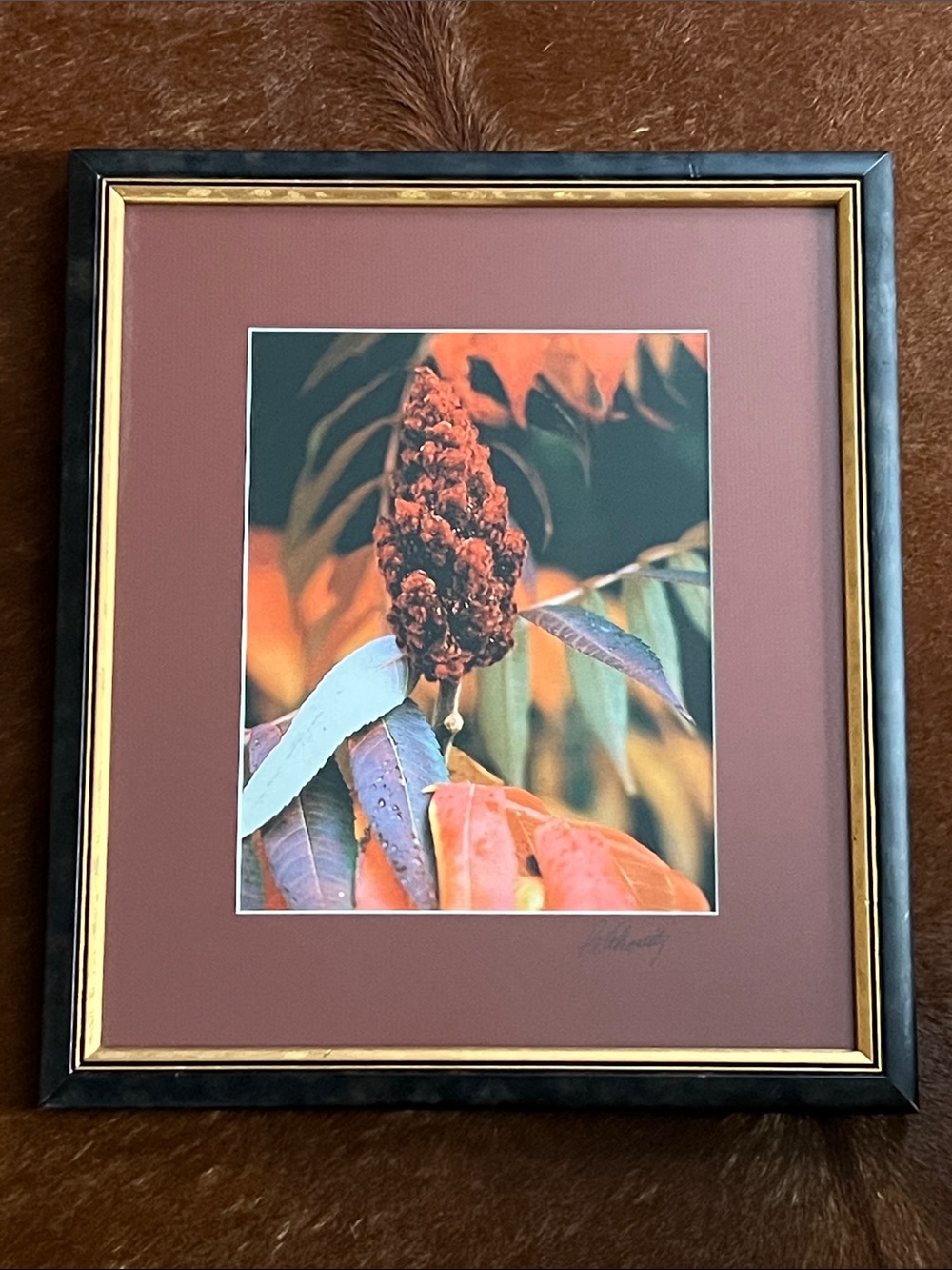 Framed Autumn Botanical Wall Art - signed by artist